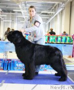 Превью фото № 173343