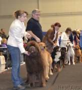 Превью фото № 173382