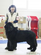 Превью фото № 173399