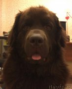 Превью фото № 173404