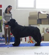 Превью фото № 173405