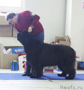 Превью фото № 173409