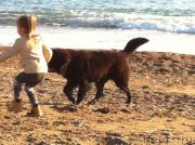 Превью фото № 173411