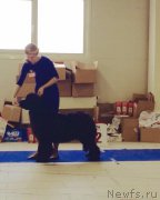 Превью фото № 173431