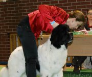 Превью фото № 173505