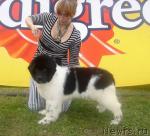 Превью фото № 17354