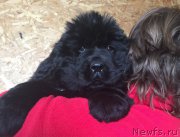 Превью фото № 173572