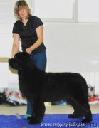 Превью фото № 173620