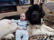 Превью фото № 173627