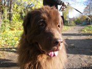 Превью фото № 173657