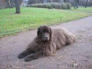 Превью фото № 173658