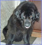 Превью фото № 173663