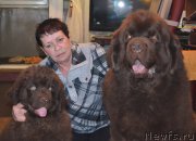 Превью фото № 173673