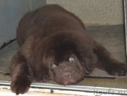 Превью фото № 173683