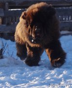 Превью фото № 173692