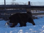 Превью фото № 173693