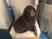 Превью фото № 173725