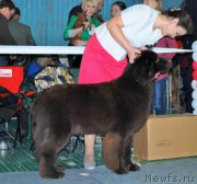 Превью фото № 173731