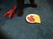 Превью фото № 173744