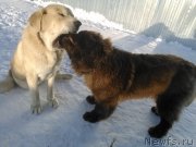 Превью фото № 173778