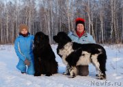 Превью фото № 173815