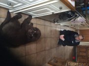 Превью фото № 173816