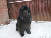 Превью фото № 173819