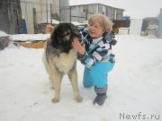 Превью фото № 173859