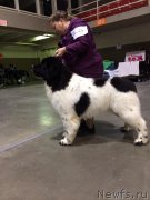 Превью фото № 173860