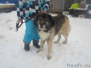 Превью фото № 173862