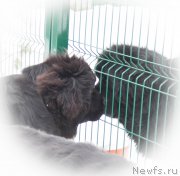 Превью фото № 173885