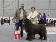 Превью фото № 173887