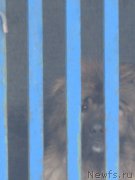 Превью фото № 173945