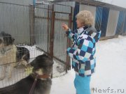 Превью фото № 173953