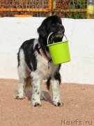 Превью фото № 173966