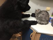 Превью фото № 173973