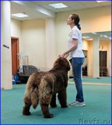 Превью фото № 174048