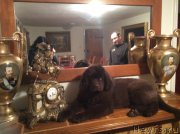 Превью фото № 174050