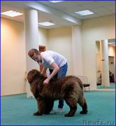 Превью фото № 174051