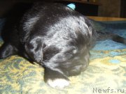 Превью фото № 174068