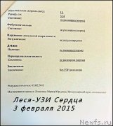 Превью фото № 174122