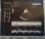 Превью фото № 174123