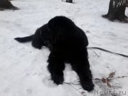 Превью фото № 174176