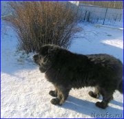 Превью фото № 174179