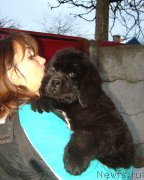 Превью фото № 174187