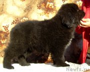 Превью фото № 174191