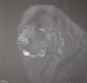 Превью фото № 174199