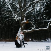 Превью фото № 174228