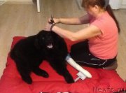 Превью фото № 174283