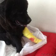 Превью фото № 174284